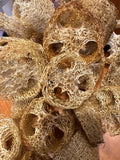 Loofah