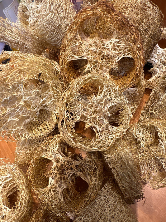 Loofah